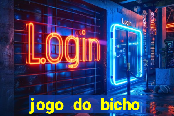 jogo do bicho crash bingo